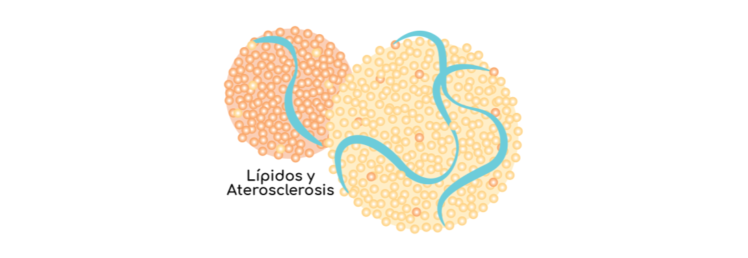 Course Image BC1 - Química Clínica Especial - Lípidos y Aterosclerosis 2026