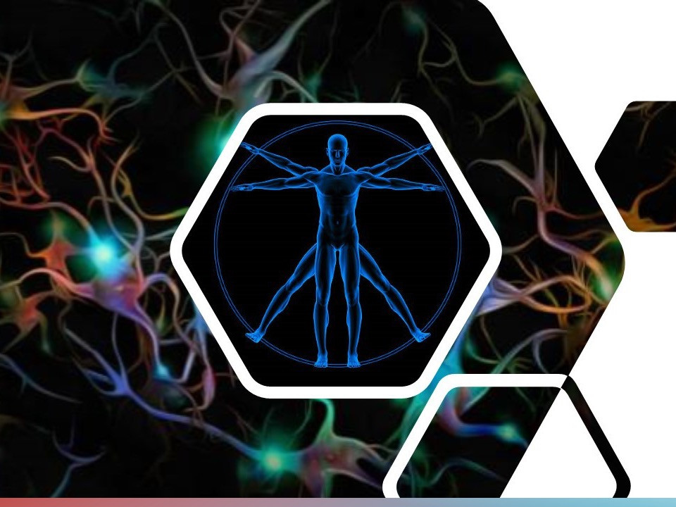 Course Image Fisiología TUMN 2026