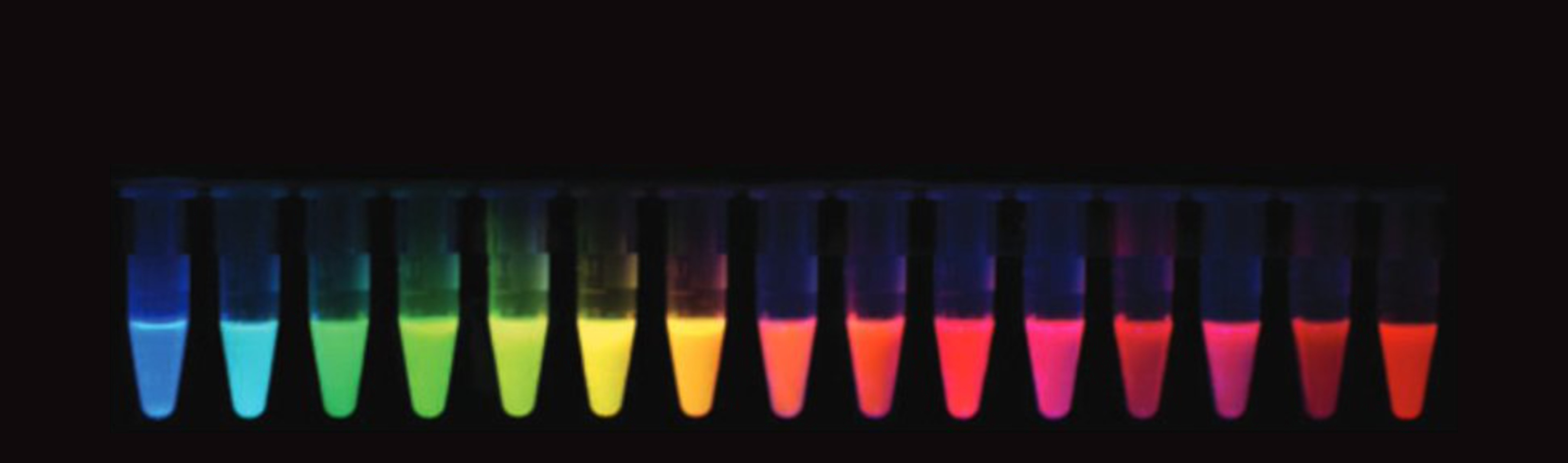 Course Image Capacitación Práctica en Técnicas de Microscopia de Fluorescencia 2024