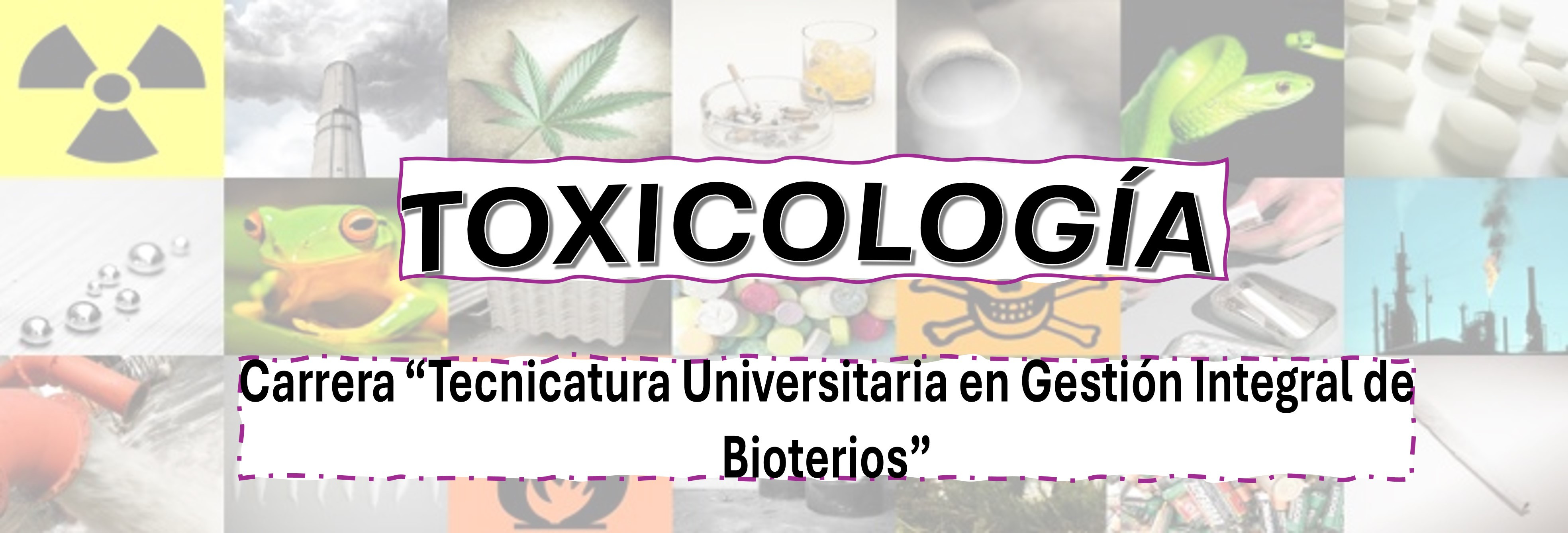 Course Image Toxicología 2026 TB
