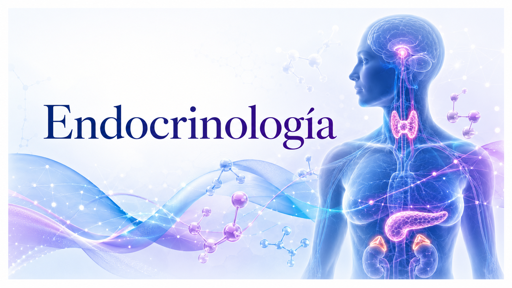 Course Image BC 1 - Endocrinología 2026