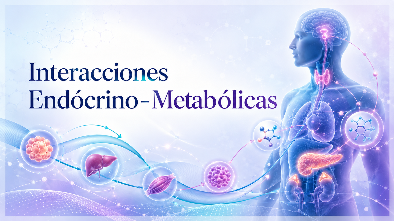 Course Image Interacciones Endócrino-Metabólicas 2026