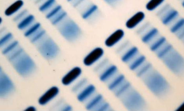 Course Image BC 1 - Proteínas en Clínica (2026)