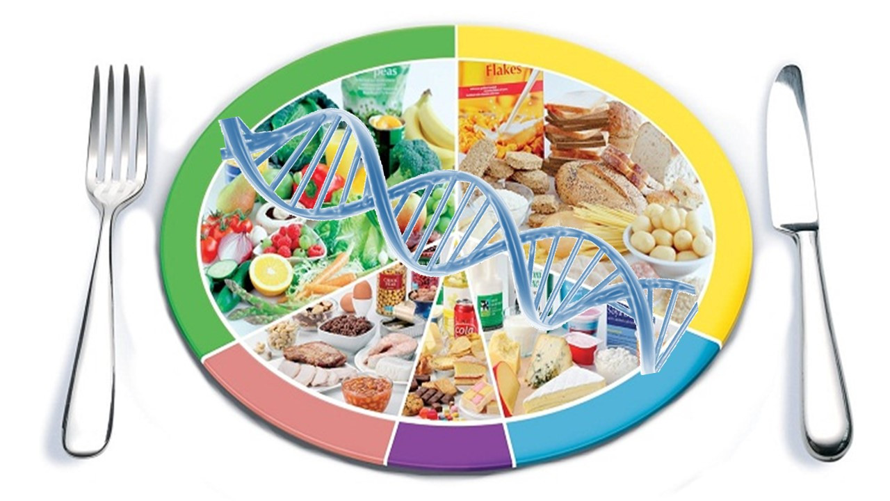 Course Image BIOTECNOLOGÍA DE ALIMENTOS II 2026 (LCTA)