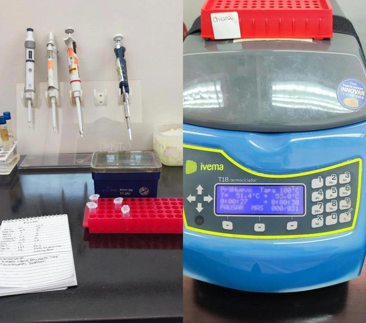 Course Image Bacteriología Molecular 2026