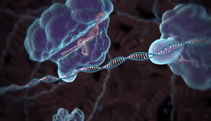 Course Image Biología Celular Molecular Biotecnología 2026