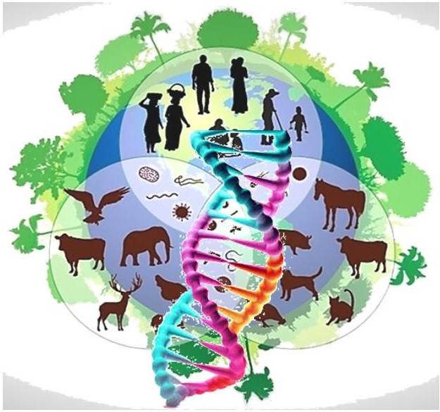 Course Image Salud y ambiente: un abordaje desde la Genética Toxicológica 2026
