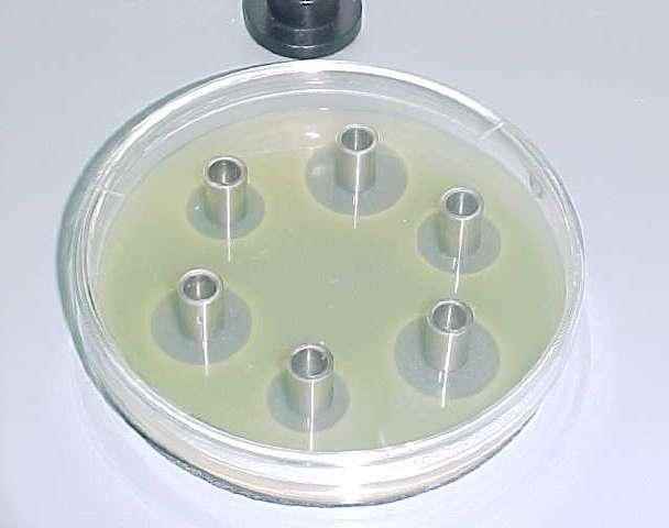 Course Image Valoración microbiológica de sustancias activas 2026