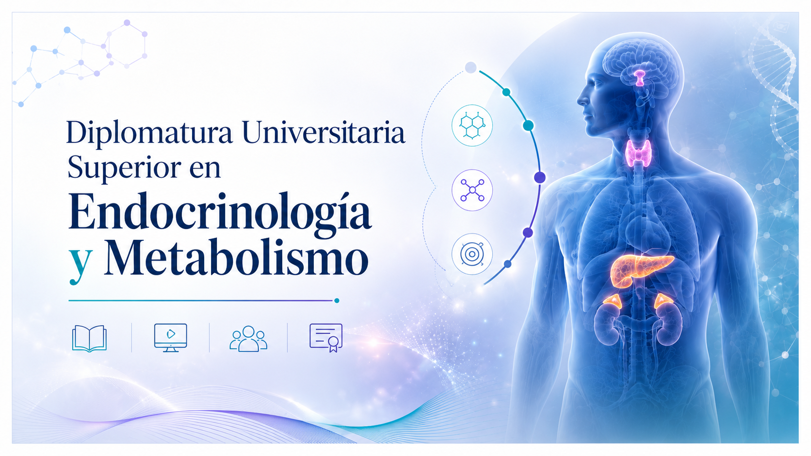 Course Image Diplomatura Universitaria Superior en Bioquímica Clínica - Área Endocrinología y Metabolismo 2026